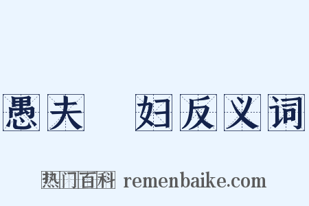 愚夫惷妇反义词是什么意思的图片